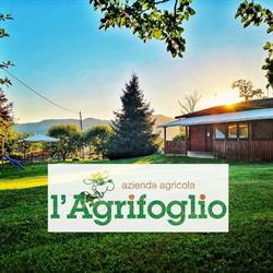 AZ. AGRICOLA L'AGRIFOGLIO DI FALLATI ALFREDO, Bolzano Novarese orari di apertura