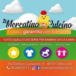 IL MERCATINO DEL PULCINO DI CONTI ALESSANDRO, Roma orari di apertura