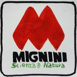 MAUTONE CAROLINA, Scisciano orari di apertura