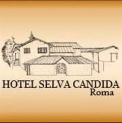 HOTEL SELVA CANDIDA SOCIETA' A RESPONSABILITA' LIMITATA, Roma orari di apertura
