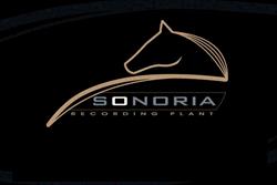 Domina S.A.S. Di R. Benassai & C., Prato orari di apertura