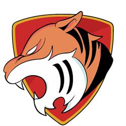 VIGILANZA TIGER S.R.L., Quartu Sant'Elena orari di apertura