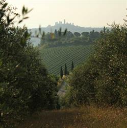 FATTORIA DI FUGNANO E BOMBERETO SOCIETA' AGRICOLA S.A.S. DI LAURA DELL'AIRA E ROBERTA LO CASTO, San Gimignano orari di apertura