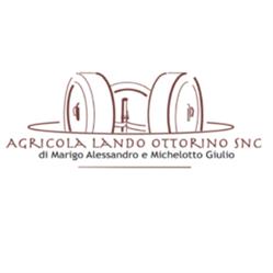 AGRICOLA LANDO OTTORINO S.N.C. DI MARIGO ALESSANDRO E MICHELOTTO GIULIO, Vigonovo orari di apertura