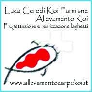 Luca Ceredi Koi Farm snc, Cesena orari di apertura