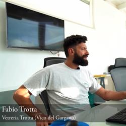 VETRERIA TROTTA SNC DI TROTTA FABIO & VALENTINA, Vico del Gargano orari di apertura