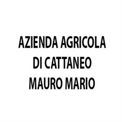 Azienda Agricola di Cattaneo Mauro Mario Produzione Propria, Abbazia orari di apertura