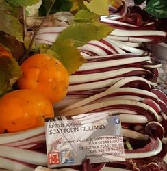 SCATTOLIN GIULIANO Scorzè, Rio San Martino - Orari di apertura