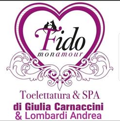 FIDO MON AMOUR DI CARNACCINI GIULIA, Forlì orari di apertura