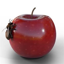 APPLEBEE DESIGN S.A.S. DI JUSTIN APPLEBEE E C., Roncofreddo orari di apertura