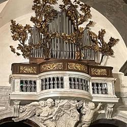 ORGANI PINCHI S.R.L., Trevi orari di apertura