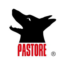 PASTORE S.R.L., Rivalta di Torino orari di apertura