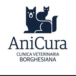 AniCura Clinica Veterinaria Borghesiana, Roma orari di apertura