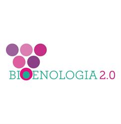 BIOENOLOGIA 2.0 S.R.L., Oderzo orari di apertura