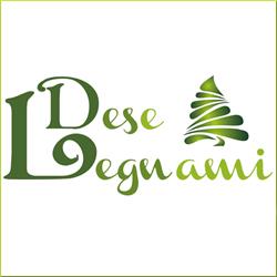 DESE LEGNAMI DI DIMATTEO MARIA, Piombino Dese orari di apertura