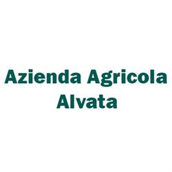 Azienda Agricola Alvata, Potenza Picena orari di apertura