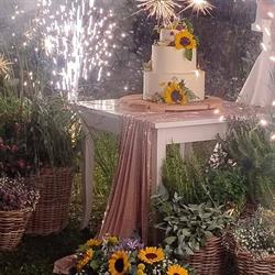 LA DISPENSA DEL GIGANTE SAS DI PAGANELLI SIMONE E C., Castellarano orari di apertura