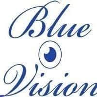 OTTICA BLUE VISION DI SORRENTINO M. E NOBILI R. S.N.C., Falconara Marittima orari di apertura