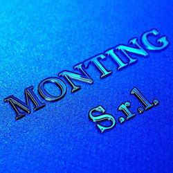 MONTING S.R.L., Rottofreno orari di apertura