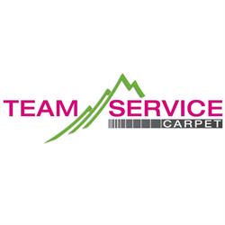Team Service, Castelletto sopra Ticino orari di apertura