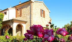 CASA VACANZE RIBOCCHI DI RUSSO GIUSEPPA & C. S.A.S., Campiglia Marittima orari di apertura