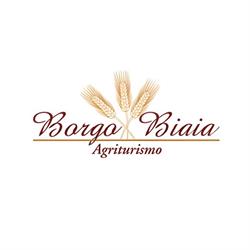 BORGO BIAIA SOCIETA AGRICOLA A RESPONSABILITA LIMITATA SEMPLIFICATA, Camporgiano orari di apertura