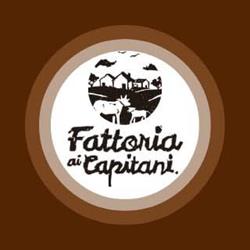 FATTORIA AI CAPITANI SOCIETA' AGRICOLA SEMPLICE, Schio orari di apertura