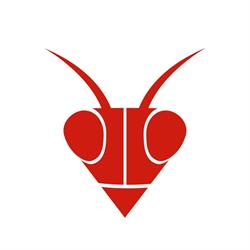 PATROLLINE GROUP - SOCIETA' COOPERATIVA, Albavilla orari di apertura