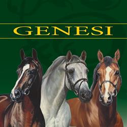 GENESI SRL, Ponteranica orari di apertura
