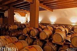 Specogna, Corno di Rosazzo orari di apertura