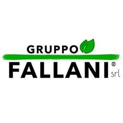 GRUPPO FALLANI S.R.L., Calenzano orari di apertura