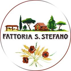 FATTORIA SANTO STEFANO - SOCIETA' A RESPONSABILITA' LIMITATA, Fiumicino orari di apertura