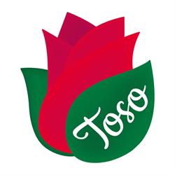 PIANTE F.LLI TOSO SNC DI TOSO GUIDO & C., Castelfranco Veneto orari di apertura
