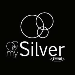 MY SILVER S.R.L., Arezzo orari di apertura
