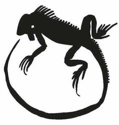 L'IGUANA EDITRICE S.A.S. DI CHIARA TUROZZI & C., San Bonifacio orari di apertura