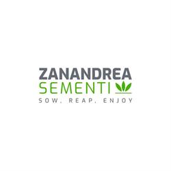 ZANANDREA SEMENTI S.R.L., Bolzano Vicentino orari di apertura