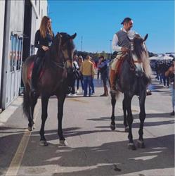 FOGLIA FABRIZIO, Recanati orari di apertura