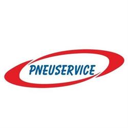 PNEUSERVICE DI D'URBANO CHIARA, Gattinara orari di apertura