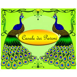 B&B Bed & Breakfast Casale dei Pavoni, Alano di Piave orari di apertura