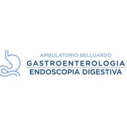 Centro Gastroenterologico Belluardo, Comiso orari di apertura