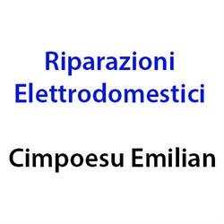 Riparazioni Elettrodomestici Cimpoesu Emilian, Torino orari di apertura