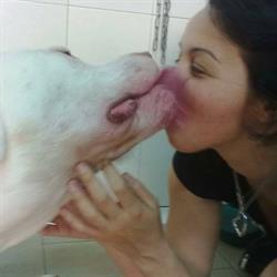 La Toeletta di Patty Boop Ciampino, orari di apertura