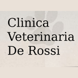 Clinica Veterinaria De Rossi, Mirano orari di apertura
