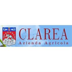 Clarea Vini Crota D'Titin, Susa orari di apertura