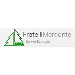 MM Fratelli Morgante, Magliano de' Marsi orari di apertura