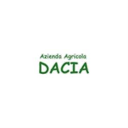 Pensione per Cani Dacia, Massarosa orari di apertura