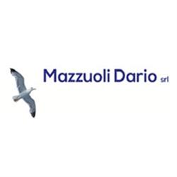 Mazzuoli Dario, Viterbo orari di apertura