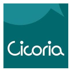 Cicoria Arredamenti, Rionero in Vulture orari di apertura