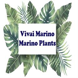 Vivai Marino - Marino Plants, Melito di Napoli orari di apertura