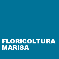 Floricoltura Marisa, Pieve Fosciana orari di apertura